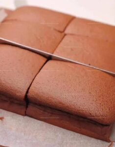 Chocolate Castella Cake (Fluffy and Easy to Make) Recipe