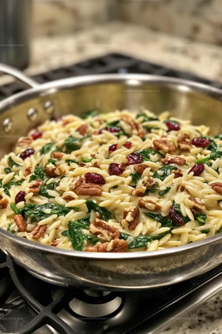 Creamy Cranberry and Spinach Orzo Recipe