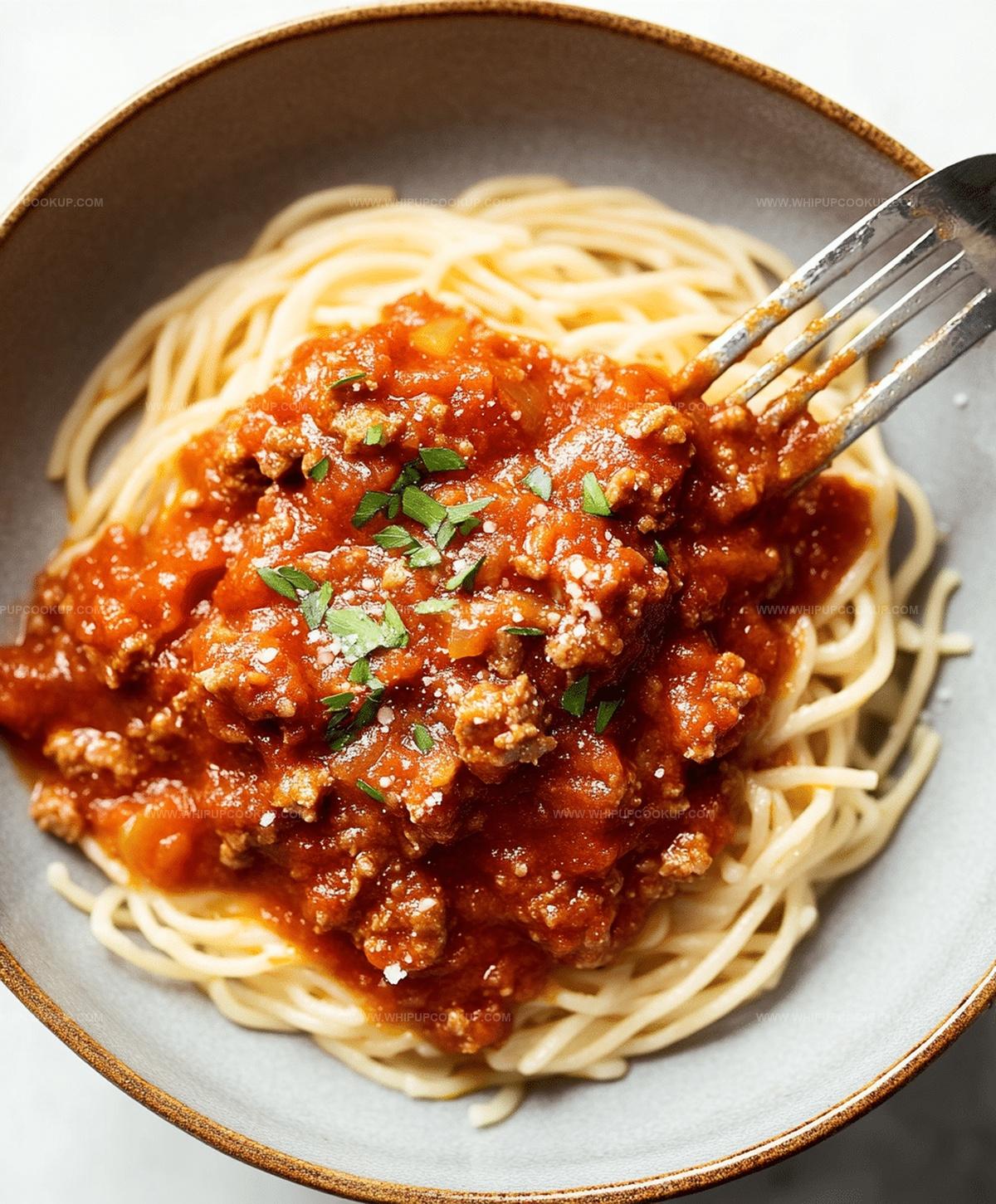 Meat Sauce Recipe