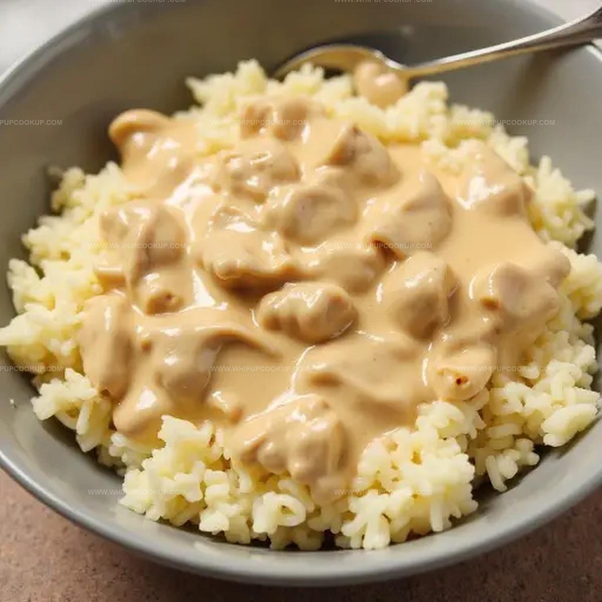 Creamy Chicken Gravy Over Rice or Noodles Recipe