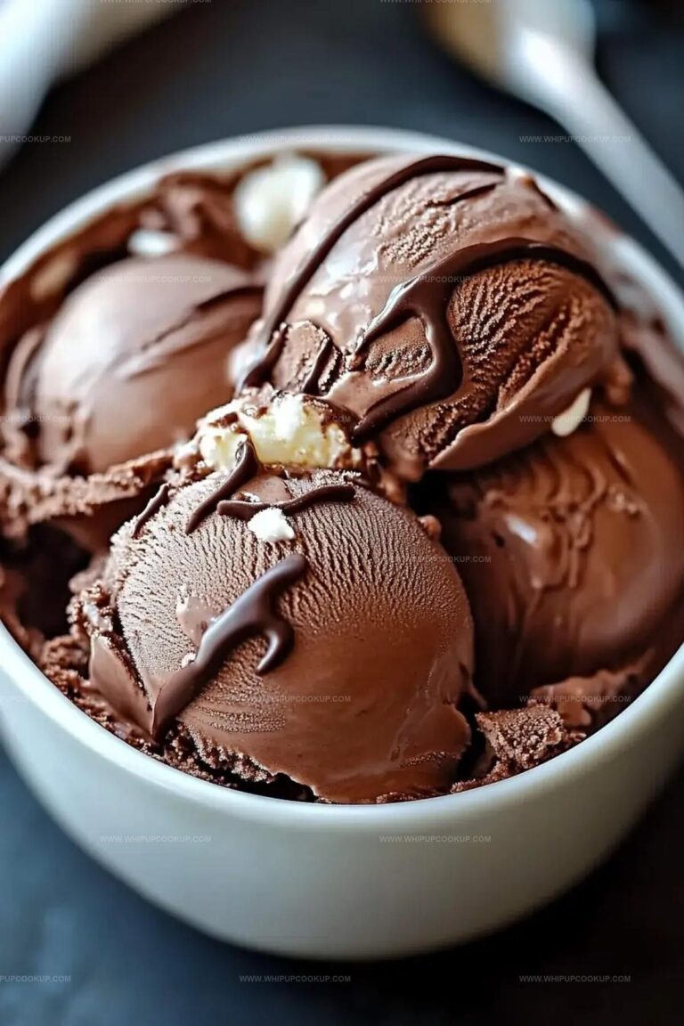 Homemade Chocolate Ice Cream Recipe