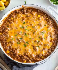 Sloppy Joe Dip Recipe