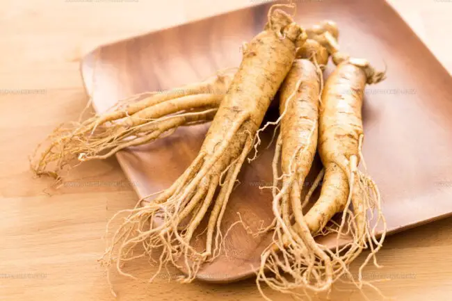 Ginseng Flavor Guide