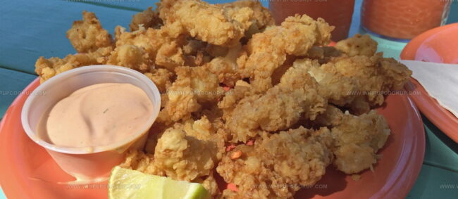 Cracked Conch