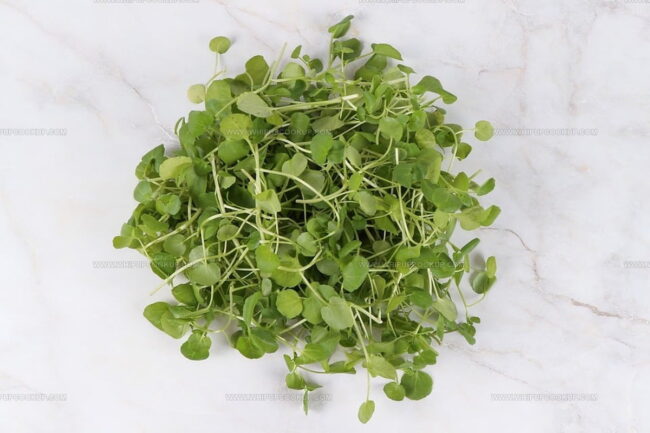 What Is Watercress?