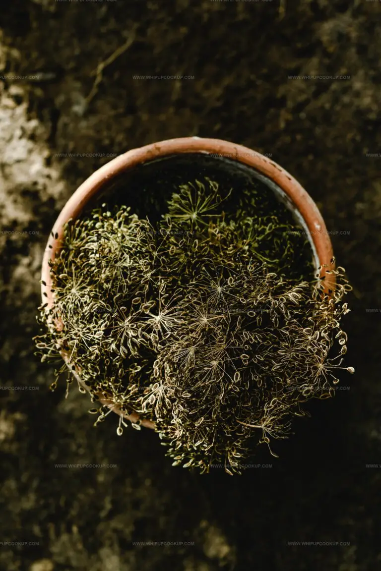 3 Dried Dill Replacements for Fresh Herb Flavor