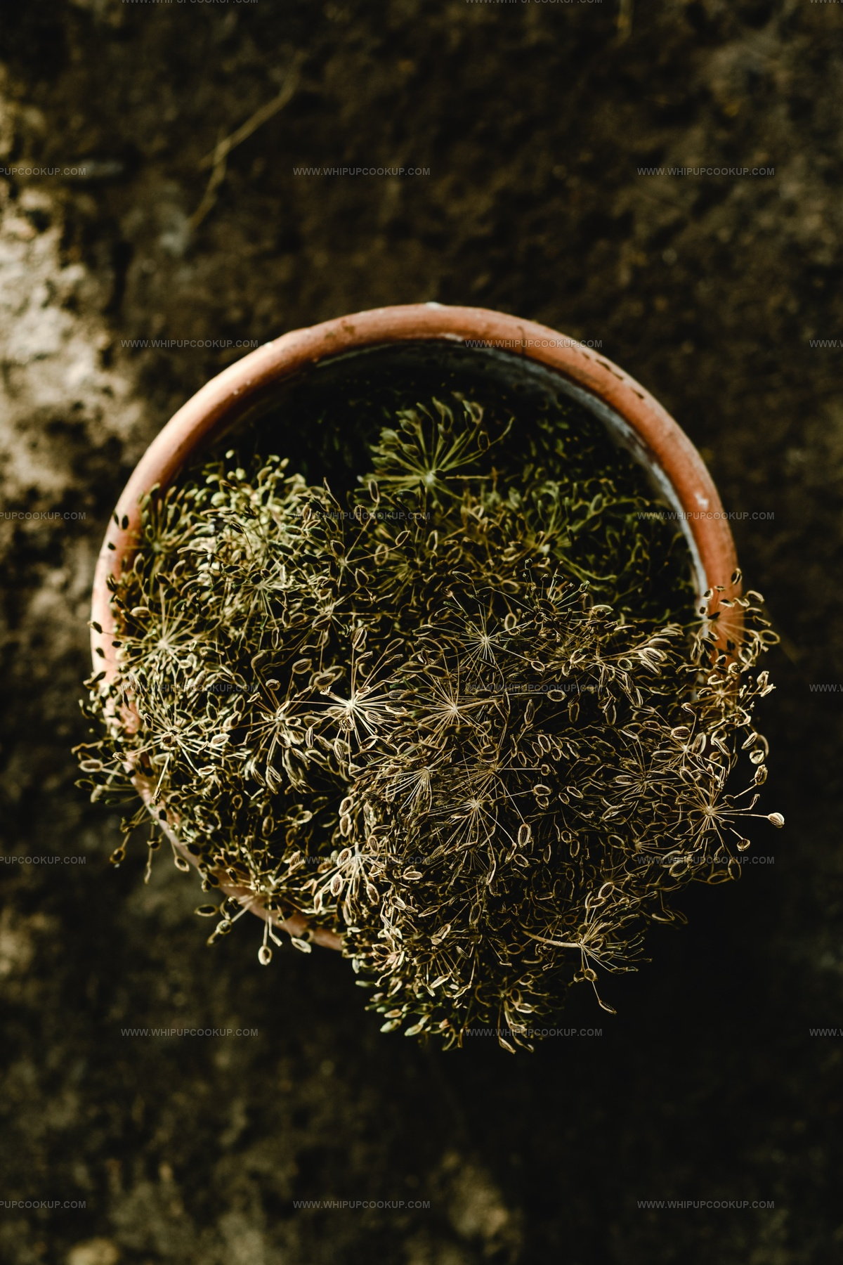 3 Dried Dill Replacements for Fresh Herb Flavor
