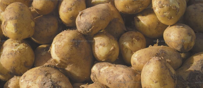 Pomme De Terre De I'Ile De Re