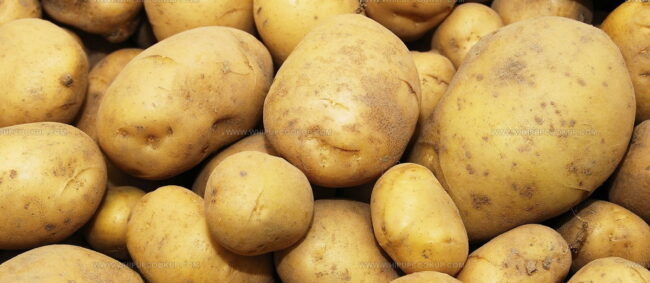 Patatas De Prades