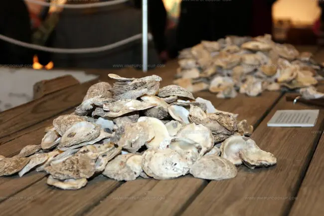 Oyster Roast
