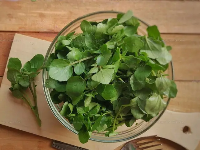 Flavor of Watercress